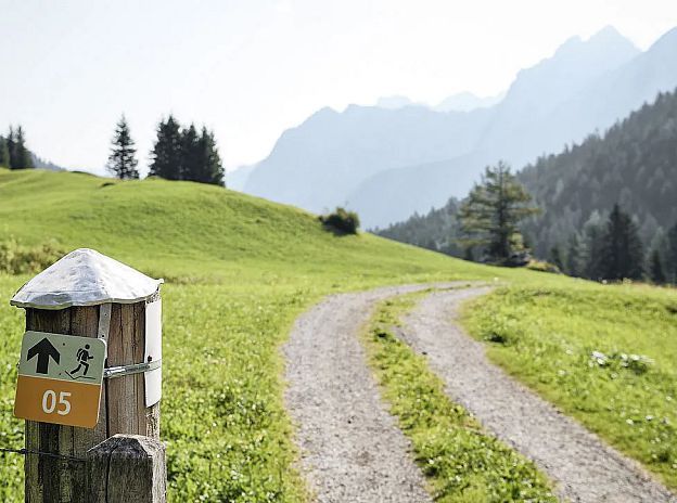 Guided hikes in Brandnertal