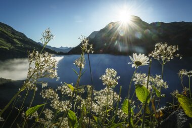 © Dietmar Denger