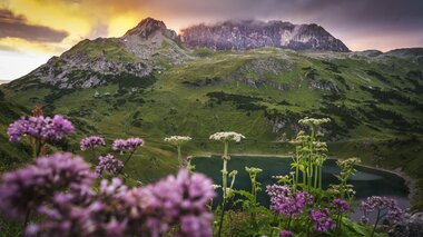 © Dietmar Denger