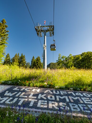 © www.spekner.com
