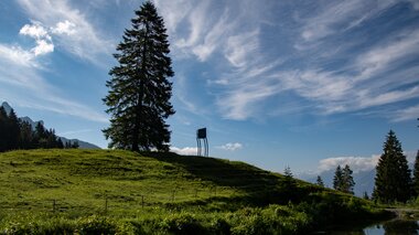 © Foto Lerch