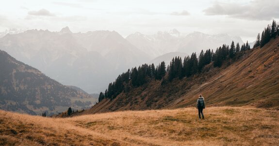 Auf der Alpe Sentum | © Robert Bohnke / Alpenregion Bludenz Tourismus GmbH
