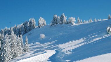 © WK Vorarlberg - Fachgruppe Seilbahnen
