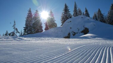 © WK Vorarlberg - Fachgruppe Seilbahnen