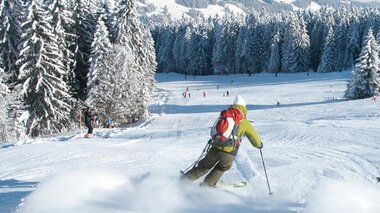 © WK Vorarlberg - Fachgruppe Seilbahnen