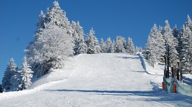 © WK Vorarlberg - Fachgruppe Seilbahnen
