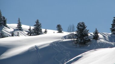 © WK Vorarlberg - Fachgruppe Seilbahnen