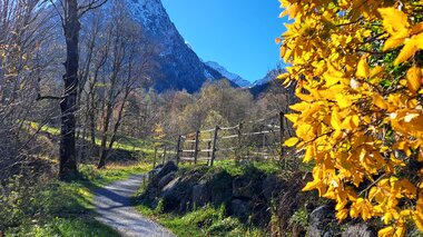 © Sandra Kuntner