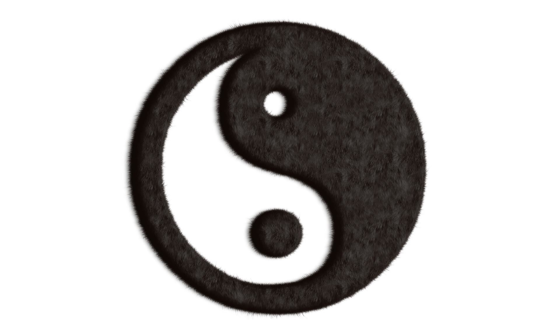 yin-yang-4253735_1920