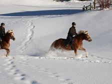 Sporthotel_Pferde_Ausritt_im_Schnee