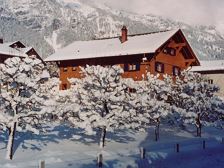 Haus Schwarzhans, Winter