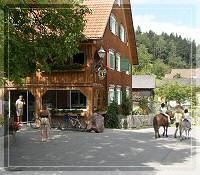 Hotel Gasthaus Schäfle_Sommer