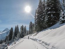 Loipen und Winterwanderwege