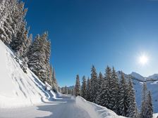 Winterwandern und Langlaufen
