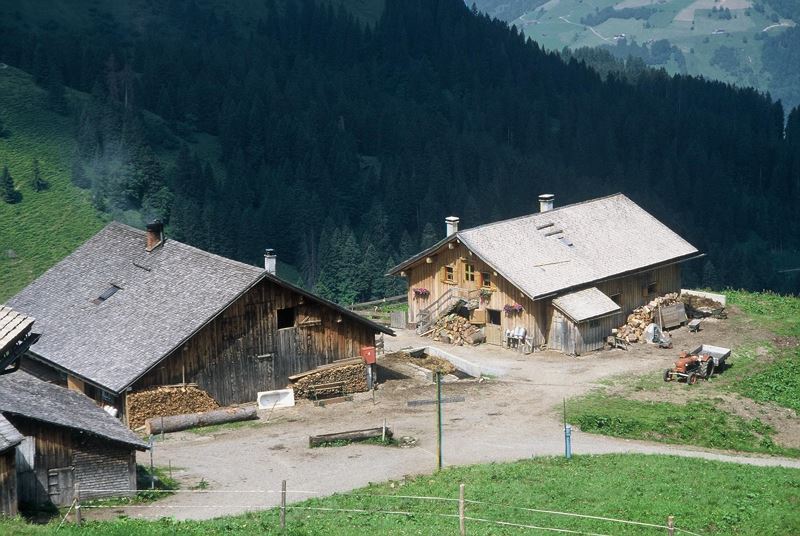 Alpe Oberpartnom