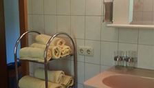 Apartment, shower or bath, toilet