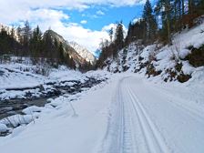 Alfenz cross-country ski trail - 1st section | Dalaas
