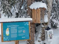 Gnome Experience Trail | Wald am Arlberg