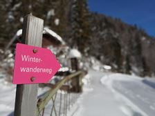 Winterwanderung von Dalaas nach Wald am Arlberg | Dalaas