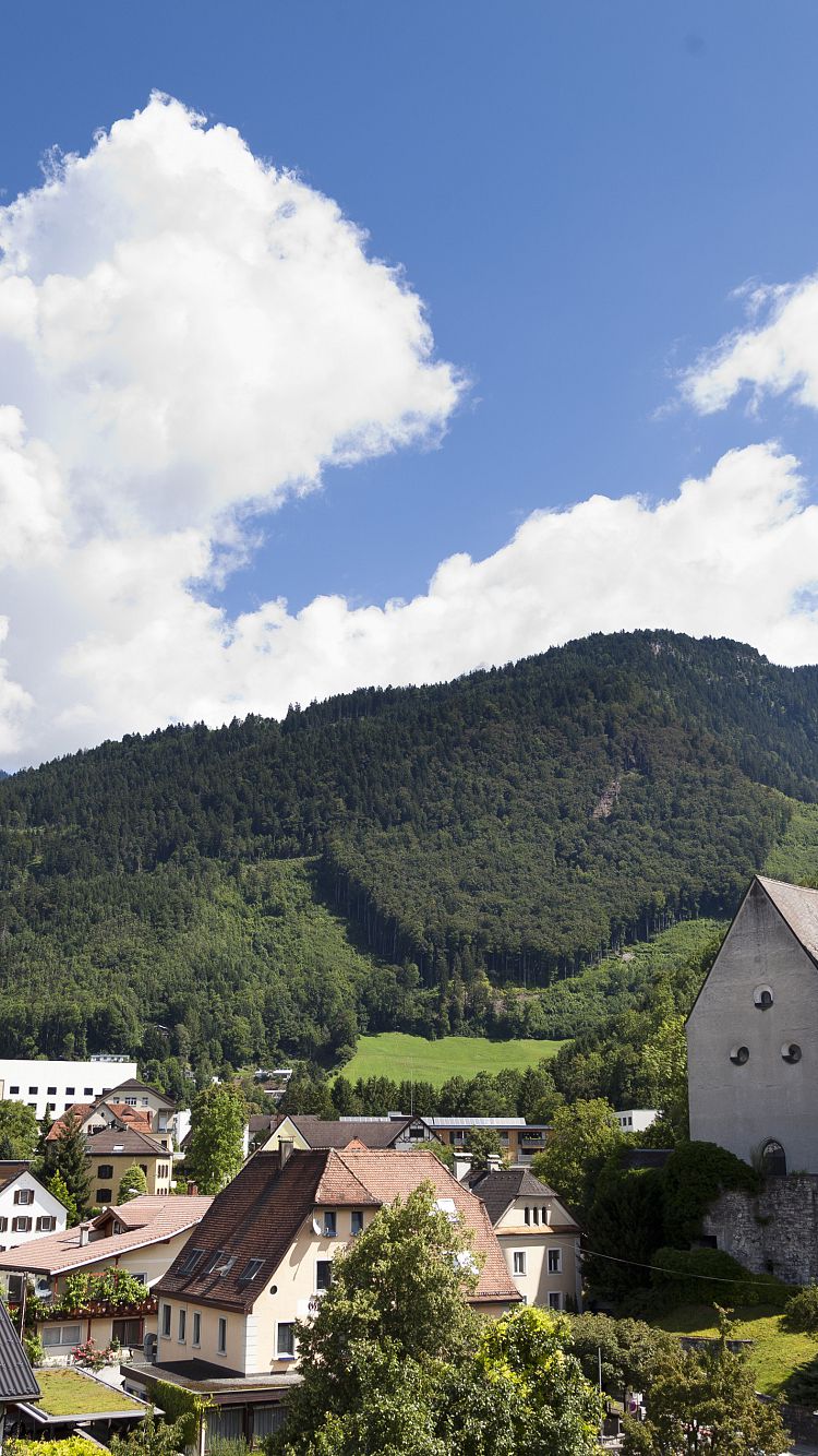 Die Grnen Vorarlberg - Bludenz - Grne Vorarlberg - rematesbancarios.com