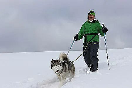 Schneeschuhwandern mit Husky (c) Husky Toni