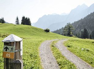 Guided hikes in Brandnertal