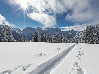 Winter in der Alpenregion Vorarlberg