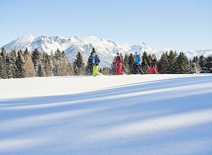 Snowshoe Hiking in Vorarlberg