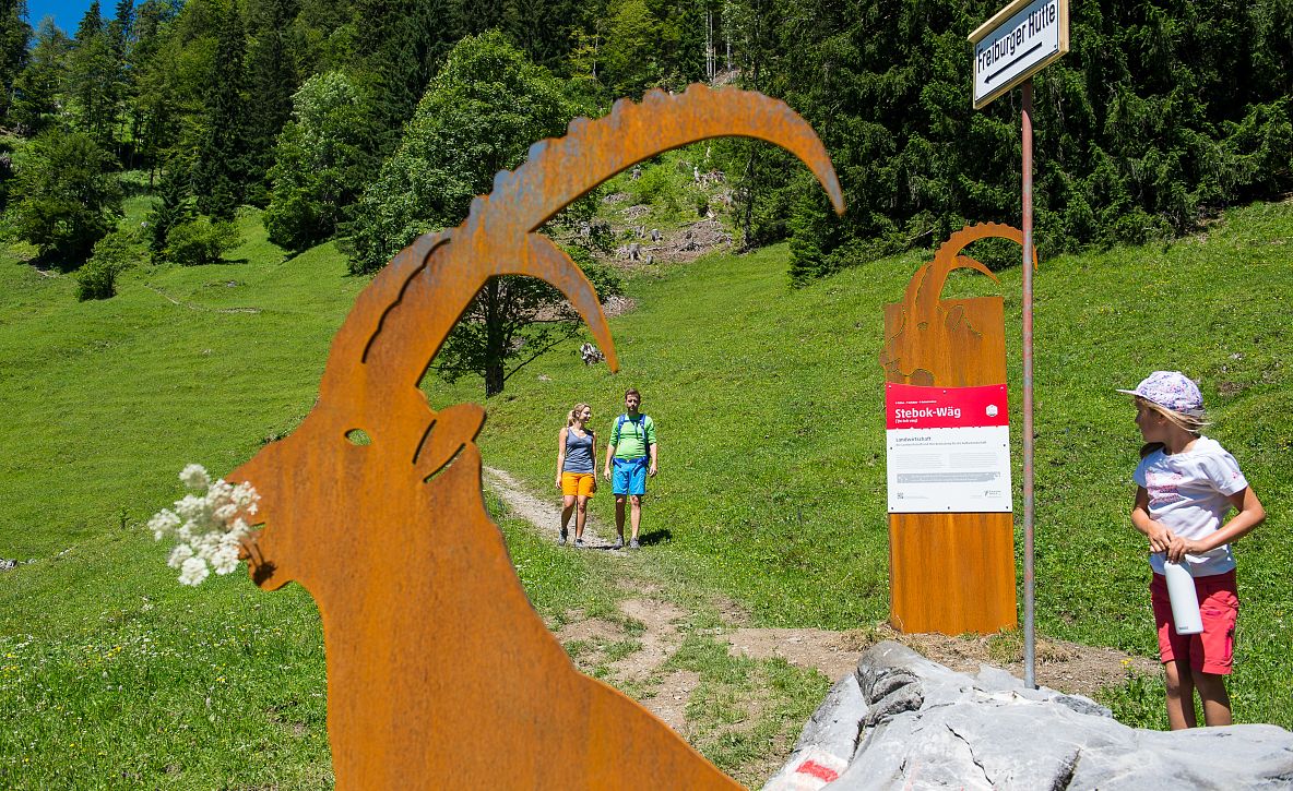 Theme Trails in Klostertal