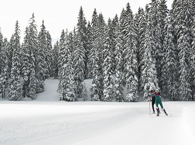 Cross-country skiing in Alpenregion Vorarlberg
