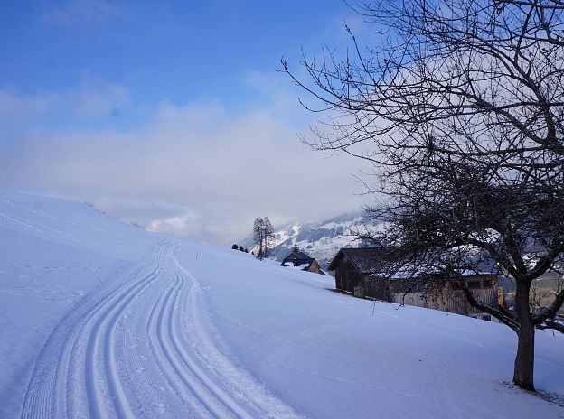 Cross-Country Skiing in Großes Walsertal